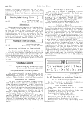 Amtliche Linzer Zeitung 19280608 Seite: 6