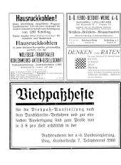 Amtliche Linzer Zeitung 19290215 Seite: 2