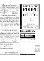 Amtliche Linzer Zeitung 19290308 Seite: 19