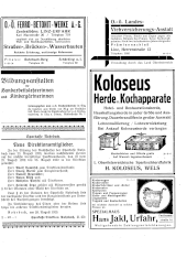 Amtliche Linzer Zeitung 19290906 Seite: 17