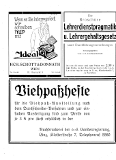 Amtliche Linzer Zeitung 19291025 Seite: 22