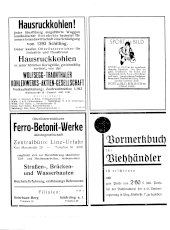 Amtliche Linzer Zeitung 19310123 Seite: 2