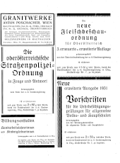 Amtliche Linzer Zeitung 19310522 Seite: 19