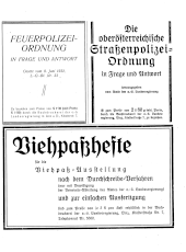 Amtliche Linzer Zeitung 19330407 Seite: 25