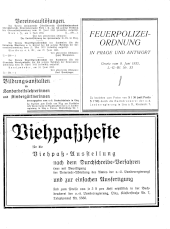 Amtliche Linzer Zeitung 19330707 Seite: 21