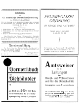 Amtliche Linzer Zeitung 19340824 Seite: 17