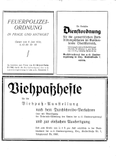 Amtliche Linzer Zeitung 19350104 Seite: 19