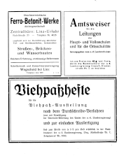 Amtliche Linzer Zeitung 19350531 Seite: 2