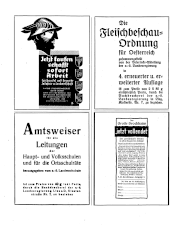 Amtliche Linzer Zeitung 19350614 Seite: 20