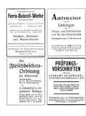 Amtliche Linzer Zeitung 19350913 Seite: 2