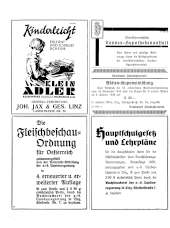 Amtliche Linzer Zeitung 19351122 Seite: 22