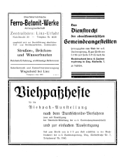 Amtliche Linzer Zeitung 19360110 Seite: 2