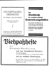 Amtliche Linzer Zeitung 19360515 Seite: 31