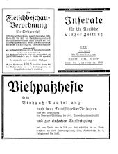 Amtliche Linzer Zeitung 19370806 Seite: 15