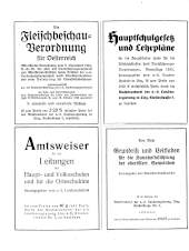 Amtliche Linzer Zeitung 19380329 Seite: 2