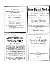 Amtliche Linzer Zeitung 19380513 Seite: 2