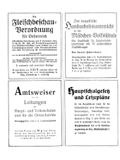 Amtliche Linzer Zeitung 19380621 Seite: 12