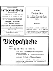 Amtliche Linzer Zeitung 19380701 Seite: 13