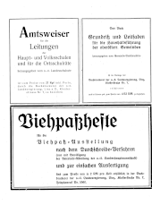 Amtliche Linzer Zeitung 19380809 Seite: 2