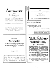 Amtliche Linzer Zeitung 19380902 Seite: 12