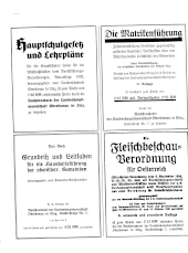 Amtliche Linzer Zeitung 19381018 Seite: 2