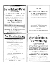 Amtliche Linzer Zeitung 19381028 Seite: 2