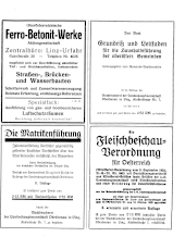 Amtliche Linzer Zeitung 19381101 Seite: 11