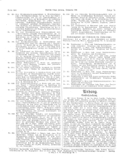 Amtliche Linzer Zeitung 19381104 Seite: 12