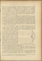 Verordnungsblatt für den Dienstbereich des niederösterreichischen Landesschulrates 19160301 Seite: 19