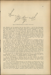 Verordnungsblatt für den Dienstbereich des niederösterreichischen Landesschulrates 19160301 Seite: 23