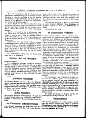 Sonder-Abdruck Amtsblatt Wien 19170206 Seite: 11