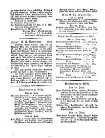 Steyermärkisches Amtsblatt zur Grätzer Zeitung 18250630 Seite: 4