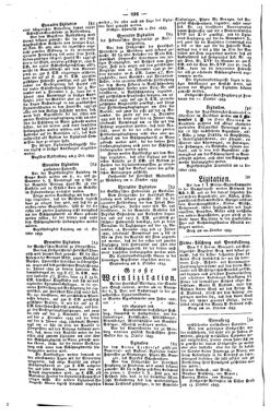 Steyermärkisches Amtsblatt zur Grätzer Zeitung 18431024 Seite: 2