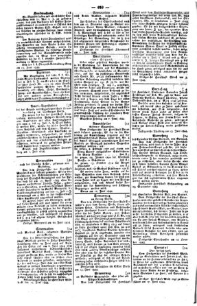 Steyermärkisches Amtsblatt zur Grätzer Zeitung 18440702 Seite: 12