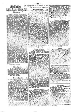 Steyermärkisches Amtsblatt zur Grätzer Zeitung 18450712 Seite: 4