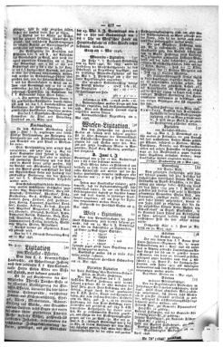 Steyermärkisches Amtsblatt zur Grätzer Zeitung 18460518 Seite: 3