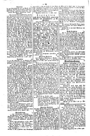 Steyermärkisches Amtsblatt zur Grätzer Zeitung 18470121 Seite: 4