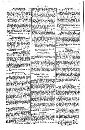 Steyermärkisches Amtsblatt zur Grätzer Zeitung 18470125 Seite: 3