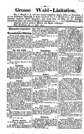 Steyermärkisches Amtsblatt zur Grätzer Zeitung 18470727 Seite: 2