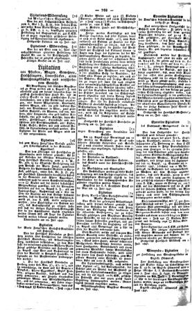 Steyermärkisches Amtsblatt zur Grätzer Zeitung 18470729 Seite: 2