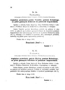 Landes-Gesetz- und Verordnungsblatt für das Königreich Galizien und Lodomerien sammt dem Großherzogthume Krakau 1873bl01 Seite: 28