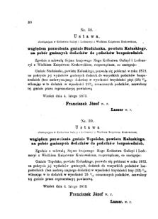 Landes-Gesetz- und Verordnungsblatt für das Königreich Galizien und Lodomerien sammt dem Großherzogthume Krakau 1873bl01 Seite: 30