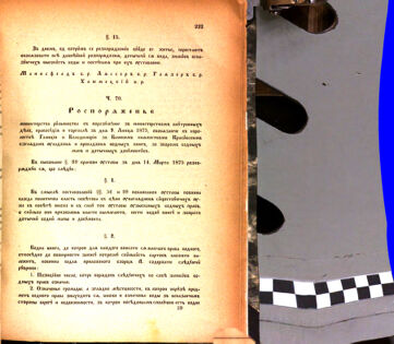 Landes-Gesetz- und Verordnungsblatt für das Königreich Galizien und Lodomerien sammt dem Großherzogthume Krakau 1875bl02 Seite: 219