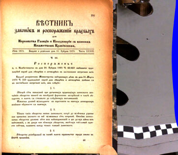 Landes-Gesetz- und Verordnungsblatt für das Königreich Galizien und Lodomerien sammt dem Großherzogthume Krakau 1875bl02 Seite: 251