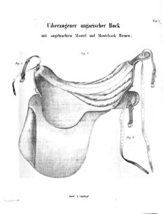 Verordnungsblatt für das Kaiserlich-Königliche Heer 18650619 Seite: 17