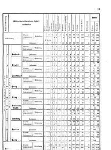 Verordnungsblatt für das Kaiserlich-Königliche Heer 18700717 Seite: 39