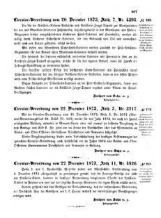 Verordnungsblatt für das Kaiserlich-Königliche Heer 18731230 Seite: 3