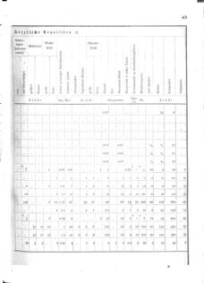 Verordnungsblatt für das Kaiserlich-Königliche Heer 18751218 Seite: 19