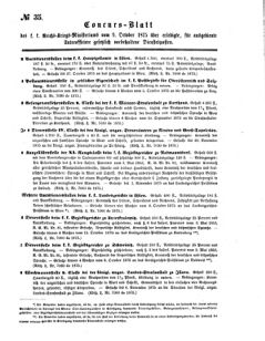 Verordnungsblatt für das Kaiserlich-Königliche Heer 18751231 Seite: 119