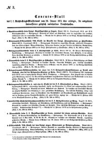 Verordnungsblatt für das Kaiserlich-Königliche Heer 18751231 Seite: 21